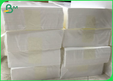 0.2mm Thickness Tyvek Dupont Paper White Waterproof For Bag Materials