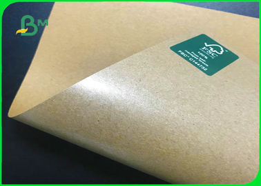 FDA Approved 18g Single Side PE Kraft Paper 337GSM For Food Containers