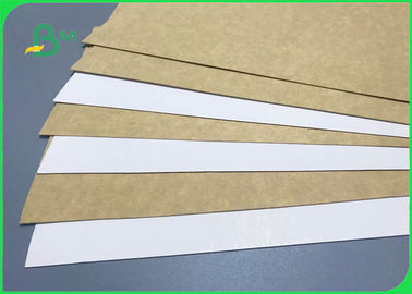 300gsm 365gsm FDA Clay Coated Kraft Back For Food Wrapping Box