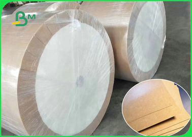 300gsm 350gsm Greaseproof PE Coated Kraft Paper For Lunch Box Food Safety