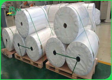 80um 120um Matte PP Waterproof Paper For Label 24'' x 30m Instant Dry