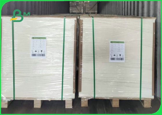 350gsm 0.61mm Food Grade Paper For Snack Tray High Bulky 25 X 30.5 Inch