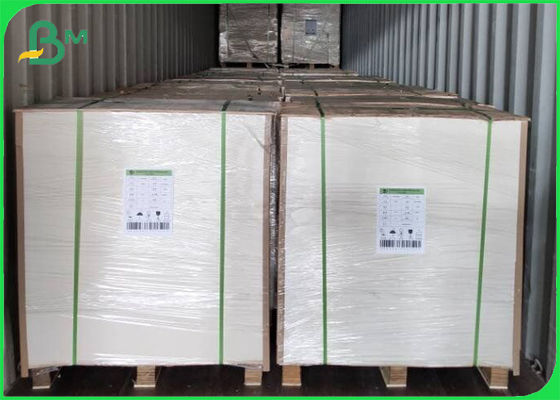 Virgin Pulp Material Ivory Coated FBB Board 215gsm - 325gsm 500mm * 1000mm