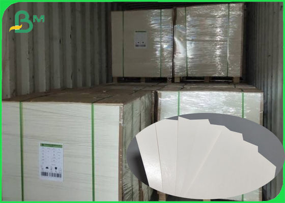 Food Grade Raw Material Single PE Coated Paper For Paper Cups Light Membrane