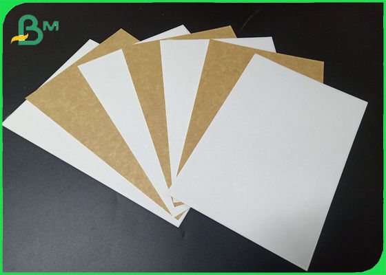 250gsm Food Grade White Coated Kraft Back Paper Roll for Bread Box