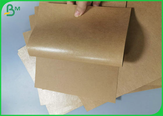 Poly Laminated Food Board 350 gram + 20gram PE Coated Virgin Kraft Cardboard Sheet