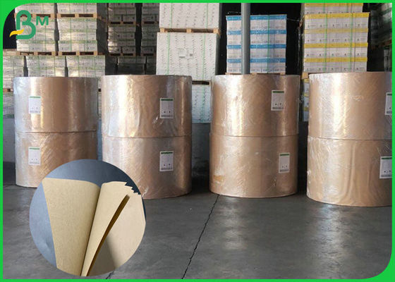 80gsm+15gsm Food grade PE coated kraft paper for fast food packaging