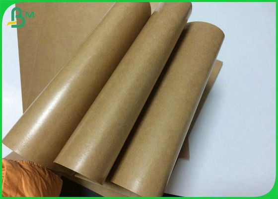 350GSM 400GSM Food Grade Kraft Liner Board For Making Food Tray