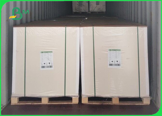 High Bulk White One Side Coated Food Pack Paperboard 350gsm 0.61mm