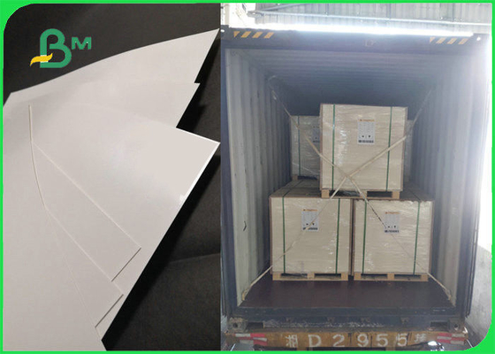 300gsm + 15g PE Food Grade PaperBoard For Lunch Box High Surface Smoothness