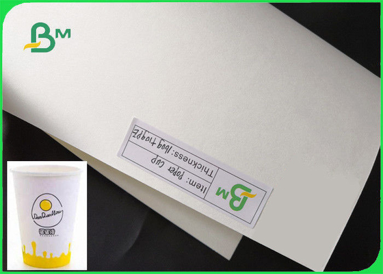 Single PE Coated Paper Sheets Customized Disposable 15g For Hot Coffee Paper Cup