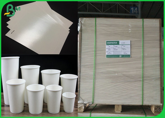 ECO 210 230 Grammages Cup Base Paper Board Coated Polyethylene For Paper Cup