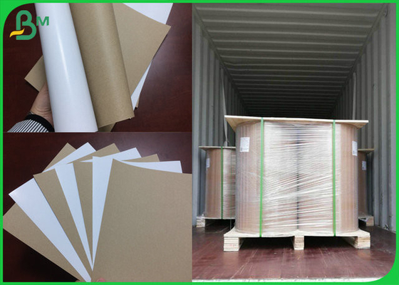 High tear strength  940 x 1280mm 400gsm Kraft Back Duplex Board For Beer Carton Making