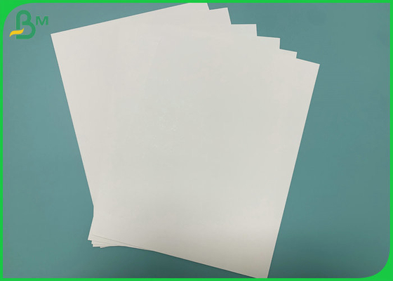 Printable 190gsm+18PE PE Coated Paper To Produce Cup Fan Food Grade