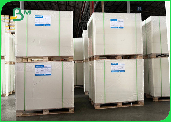 Polyboard 1 Side PE Coated For Frozen Food Grammage 250 & 300 Gsm