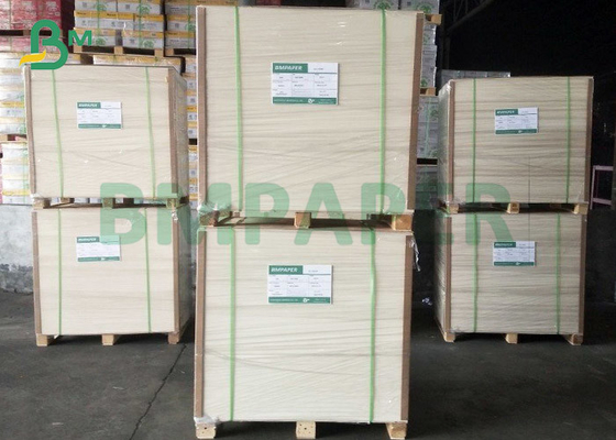 215g To 350g High Bulk Food Grade Approved White Cellulose Paper Board Sheet