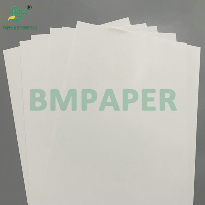 Laber Paper 80gsm C1S Glossy/Matte Label Paper for Self-Adhesive Stickers