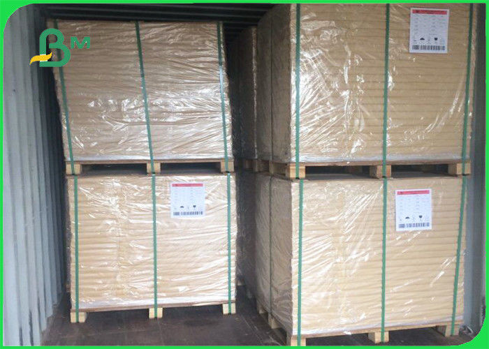 C2S Art Glossy Printer Paper , 170gsm Gloss Paper Roll 700 * 1000mm Size