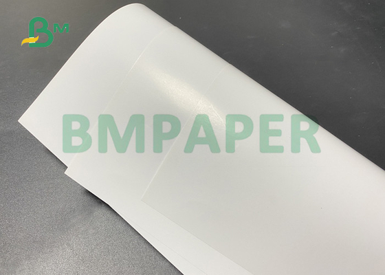 250gram C2S Gloss White Paper For Cookbook 825 * 600mm High Whiteness