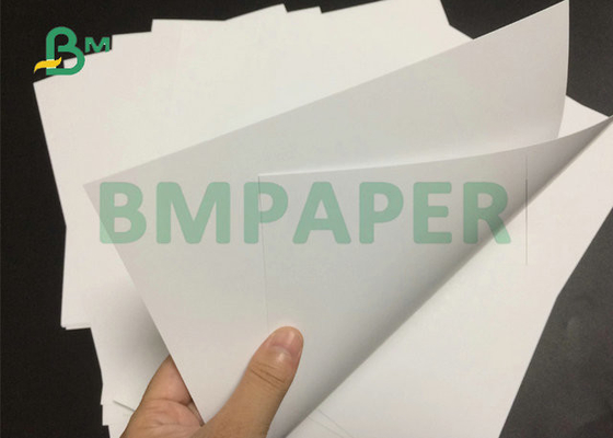 61x86cm 250gsm 300gsm Double Sided Coated Cover Matt For Offset Printing