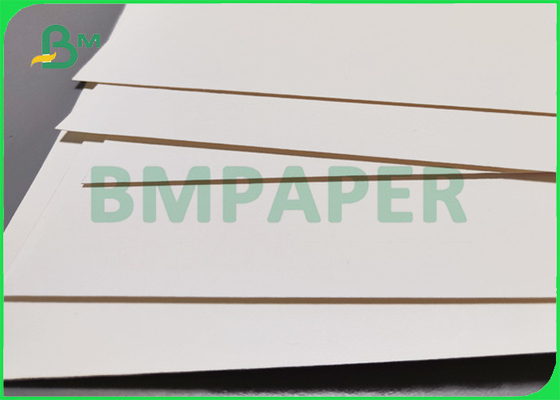 260gsm + 15g PE Coffee Cup Paper For Hot Drinks 735mm 780mm Biodegradable