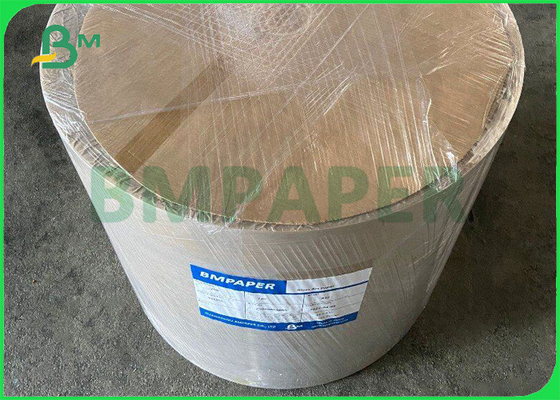 260gsm + 15g PE Coffee Cup Paper For Hot Drinks 735mm 780mm Biodegradable