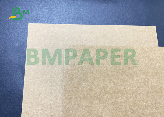 Oil Proof 90gsm 450gsm PE Coated Kraft Linerboard For Hamburger Box