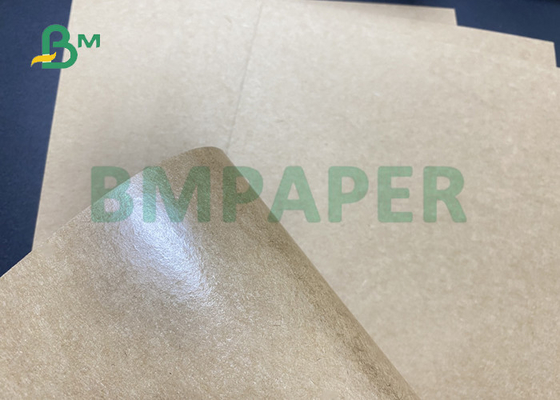 Oil Proof 90gsm 450gsm PE Coated Kraft Linerboard For Hamburger Box