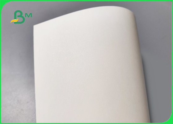 1S PE 240 gsm + 20g Cup Stock Paper For Hot Drinks 747mm 886mm Recyclable