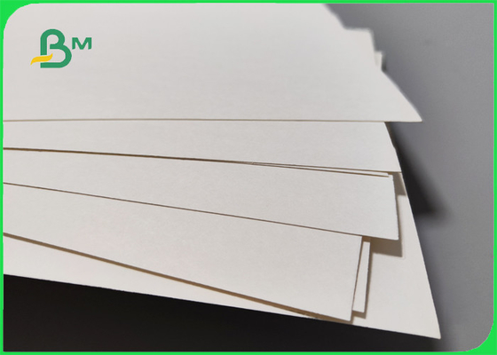 1S PE 240 gsm + 20g Cup Stock Paper For Hot Drinks 747mm 886mm Recyclable