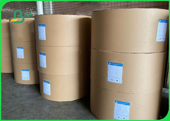 1S PE 240 gsm + 20g Cup Stock Paper For Hot Drinks 747mm 886mm Recyclable