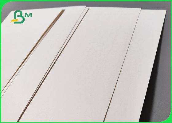 1S PE 240 gsm + 20g Cup Stock Paper For Hot Drinks 747mm 886mm Recyclable