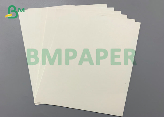 1S PE 260gsm Cup Stock Paper 240gsm + 20PE For Drinks Cup 886mm Jumbo Roll