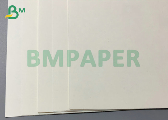 1S PE 260gsm Cup Stock Paper 240gsm + 20PE For Drinks Cup 886mm Jumbo Roll