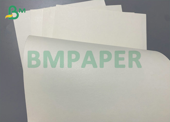 290gsm 747mm Width 2S PE Cup Stock Paper 15PE + 260gsm + 20PE For Coffee Cups