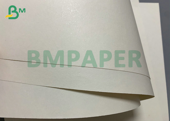 290gsm 747mm Width 2S PE Cup Stock Paper 15PE + 260gsm + 20PE For Coffee Cups