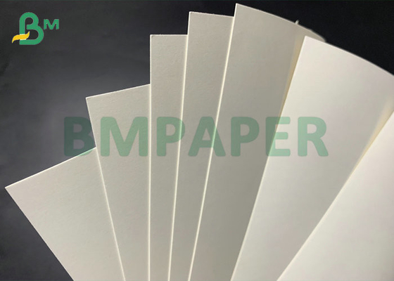 290gsm 747mm Width 2S PE Cup Stock Paper 15PE + 260gsm + 20PE For Coffee Cups