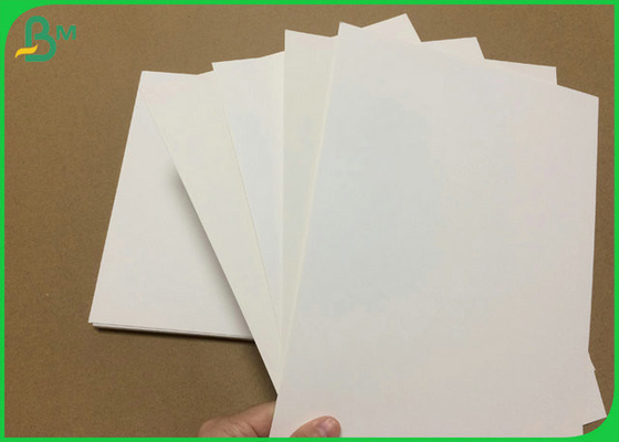 Large Format Type 230gr 250gr 300gr FBB Board For Package Box Coated 1 Side