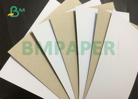 250GSM 300GSM 350GSM High Stiffness Claycoat Duplex Board For Gift Bags