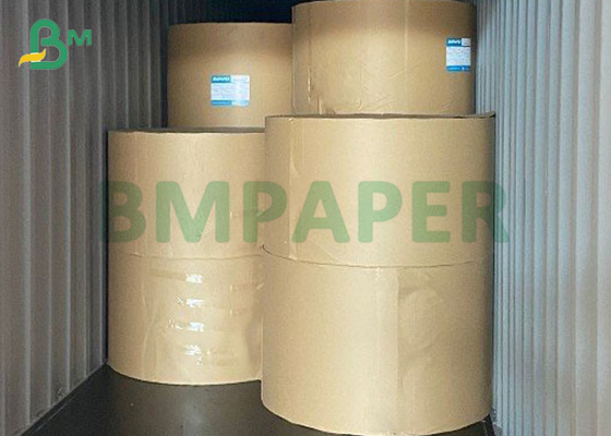 Mix pulp 53gsm 55gsm Opaque White Offset book Paper 635 * 965mm sheets