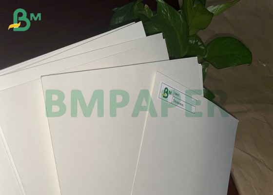 190 - 350 gsm Cup based Paper Bowl For Foldable Food Packaging