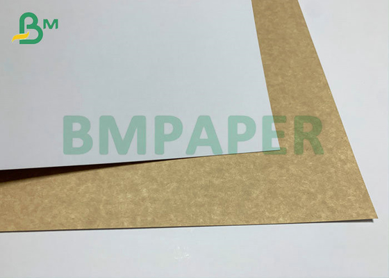 90cm Roll 250g 300g White Coated Brown Kraft Board For Food Packaging Box