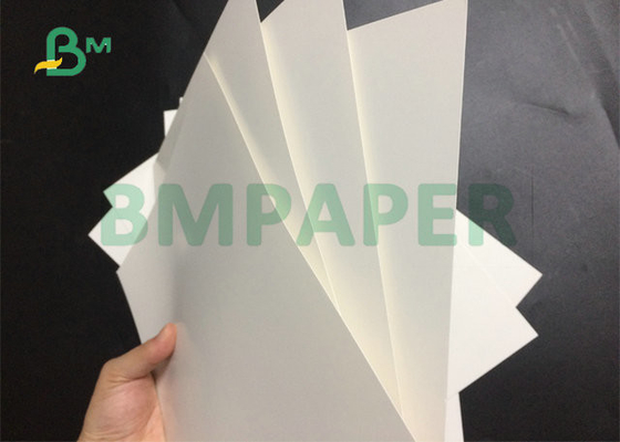 23x35inch 250gsm 300gsm 350gsm  Single Side Coated White Bleached Card For Package Box