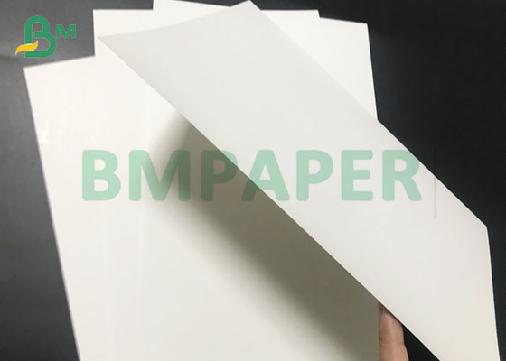 250gsm to 400gsm C1S Bleached Ivory Paper Board / GC1 Art Card Sheet 72 * 102cm