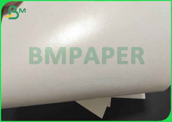 Excellent Molding Performance Coated With Single-Sided PE Film Cup Paper