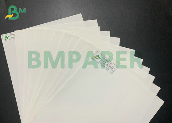 300g 350g Tear Resistance White Stone Paper For Notebook Jumbo Roll