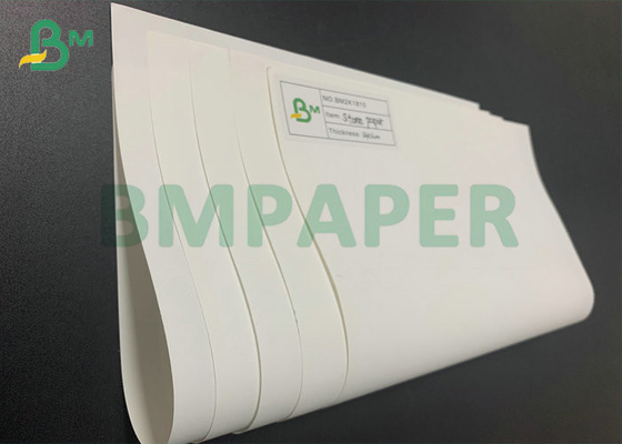 300g 350g Tear Resistance White Stone Paper For Notebook Jumbo Roll