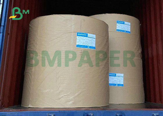 Reel Size Sheet Size 100GSM 120GSM Uncoated Ivory White Offset Paper