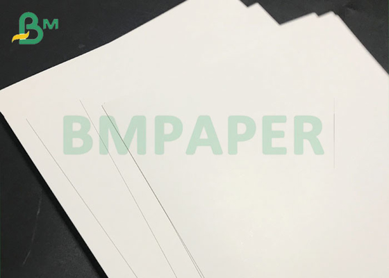 C1S Coated 300gsm 400gsm Solid Bleached Sulfate SBS 1 Side paper Board