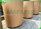 Kraft Top White Containerboard 270gr 300gr Coated Kraft Paper